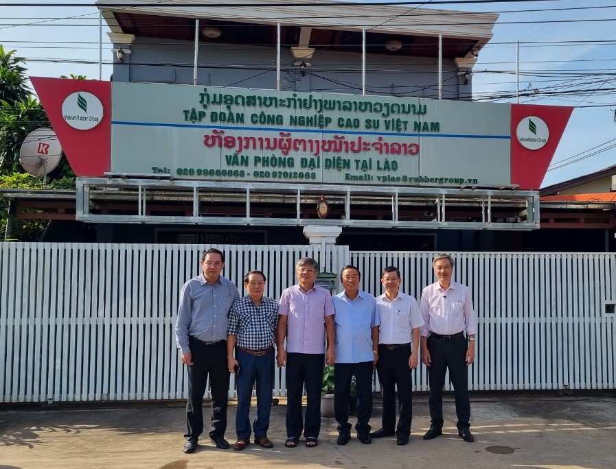 Các công ty cao su tại Lào có nhiều nỗ lực hoàn thành tốt nhiệm vụ đề ra